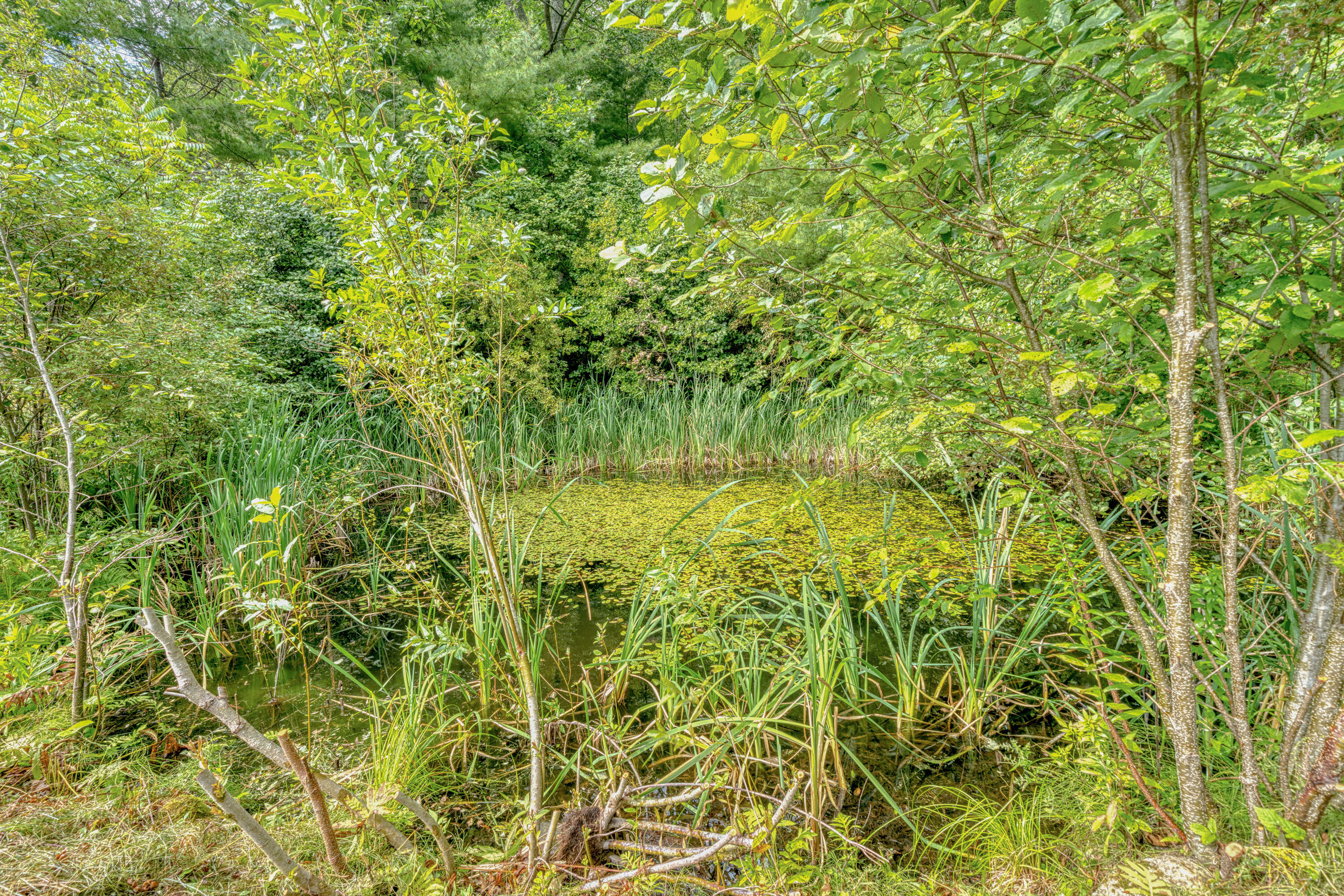175 Loggin Road Frankfort, ME 04438 - Photo 64 of 76 8214