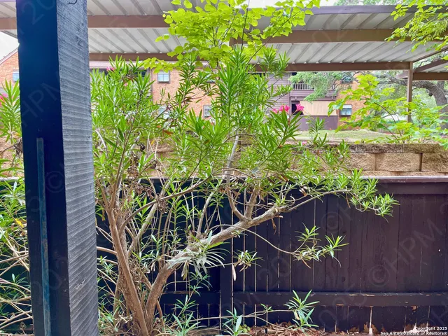 a wooden fence with some plants