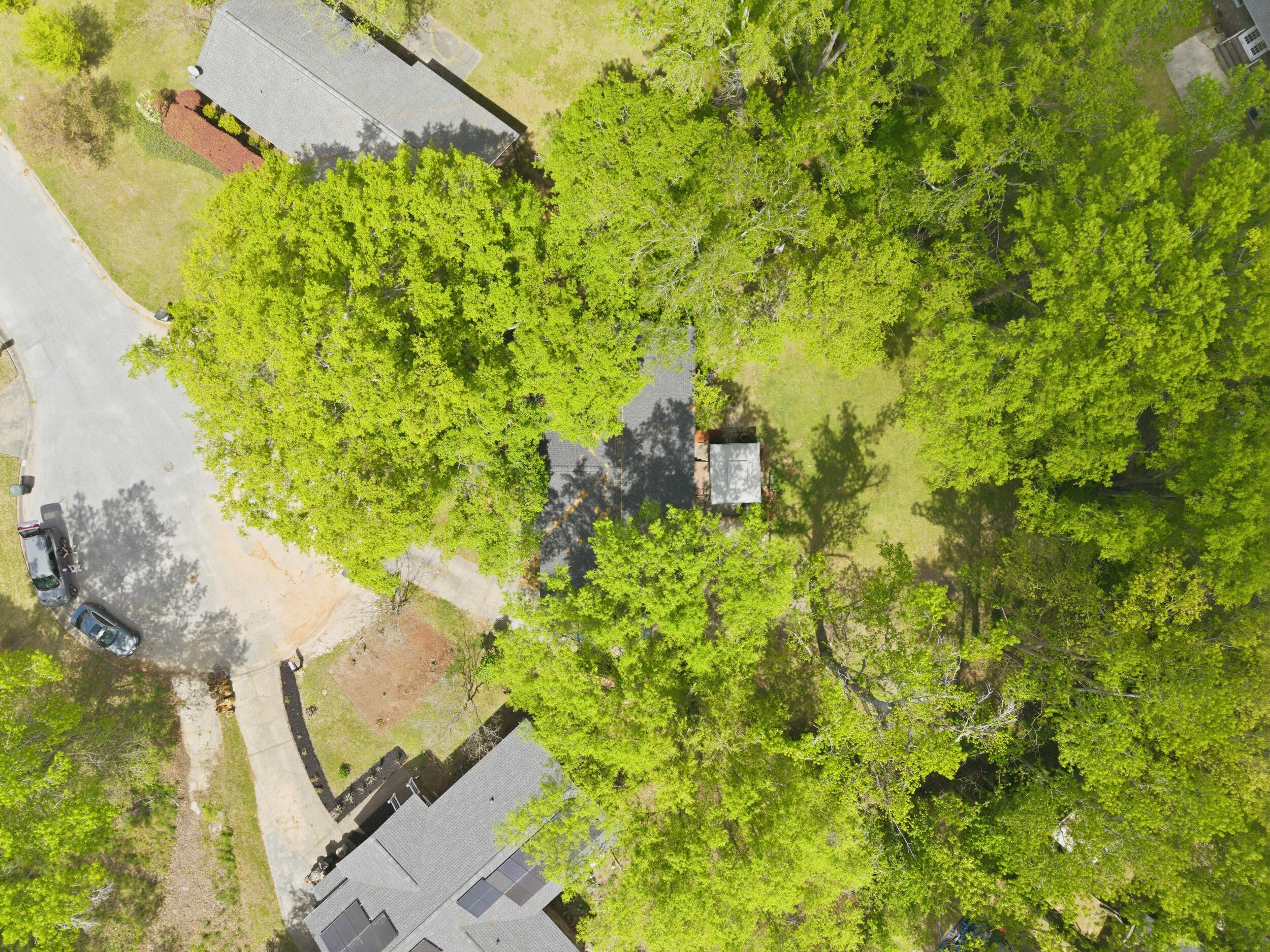 111 Duke Lane Ladson, SC 29456 - Photo 4 of 28 Wooded Lot