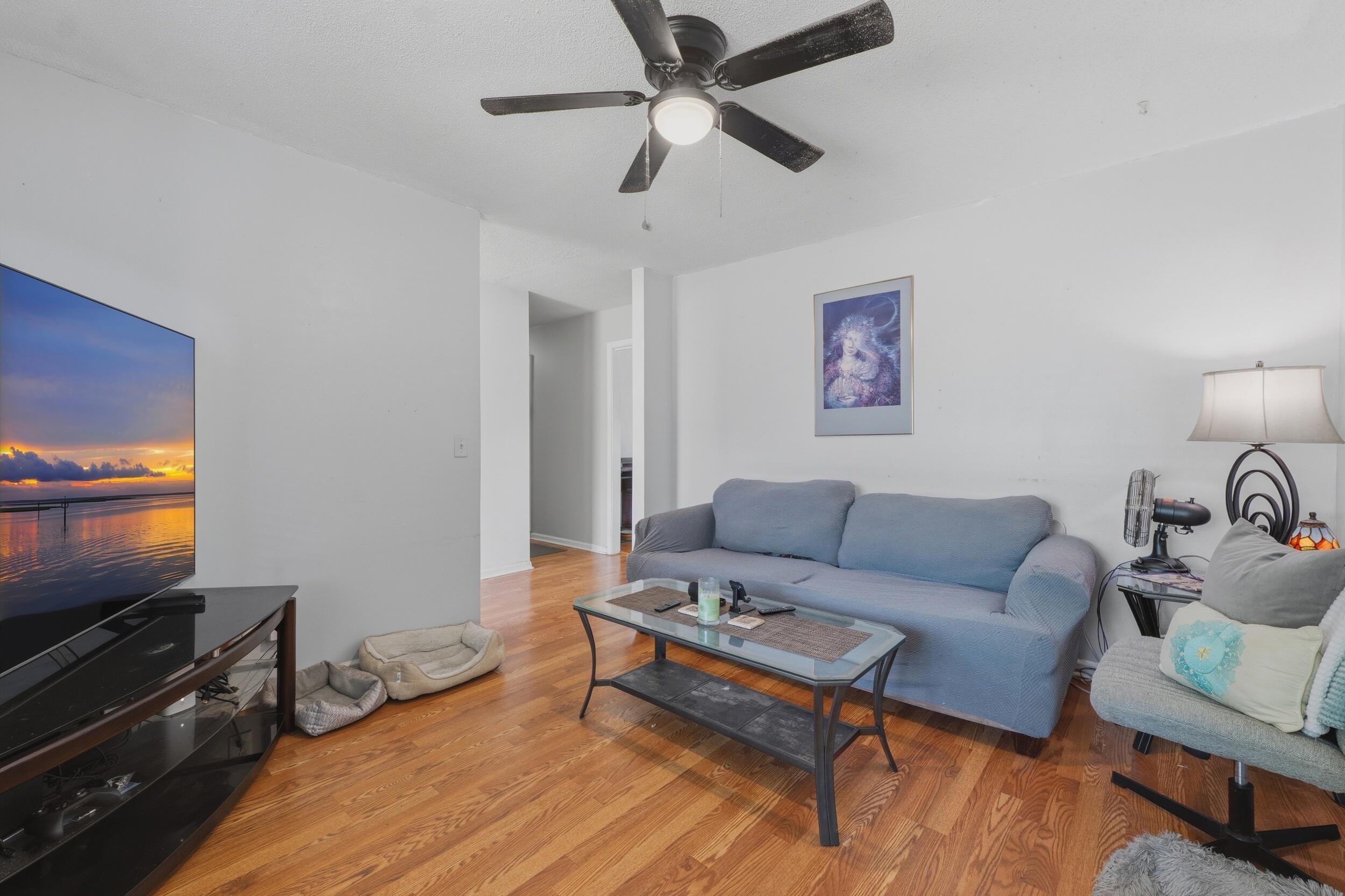 111 Duke Lane Ladson, SC 29456 - Photo 10 of 28 Family Room View 2