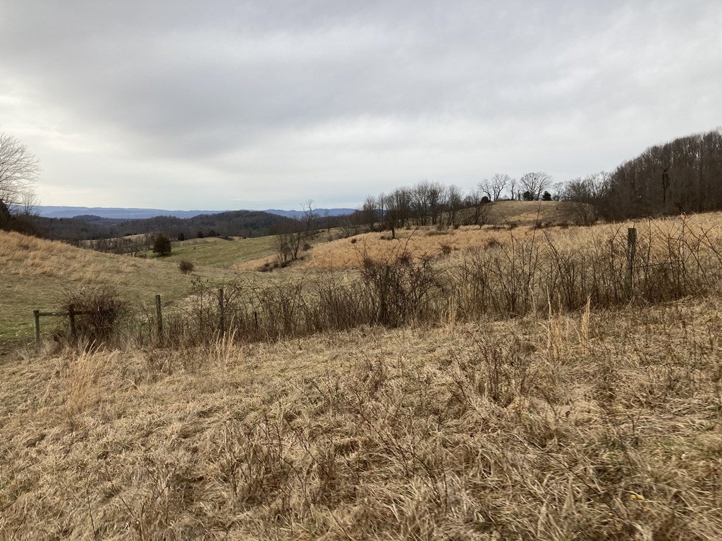 Tbd Widener Valley Road, Unit SEE REMARKS Glade Spring, VA 24340 - Photo 29 of 57 Gallery Image 29