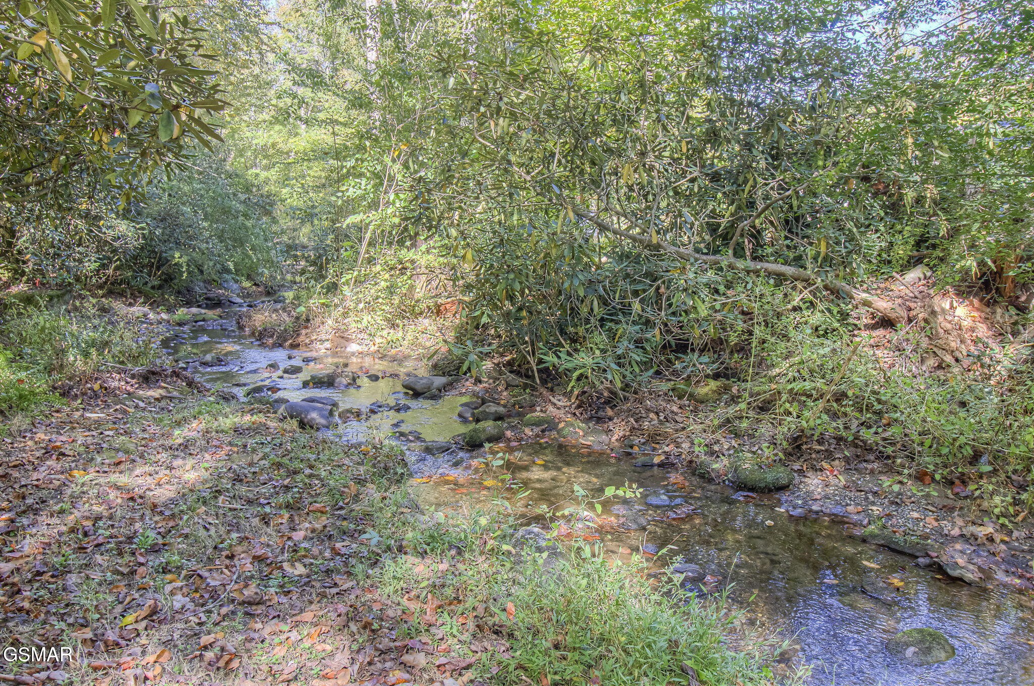 547 Rocky Flats Road Cosby, TN 37722 - Photo 2 of 36 Gallery Image 2