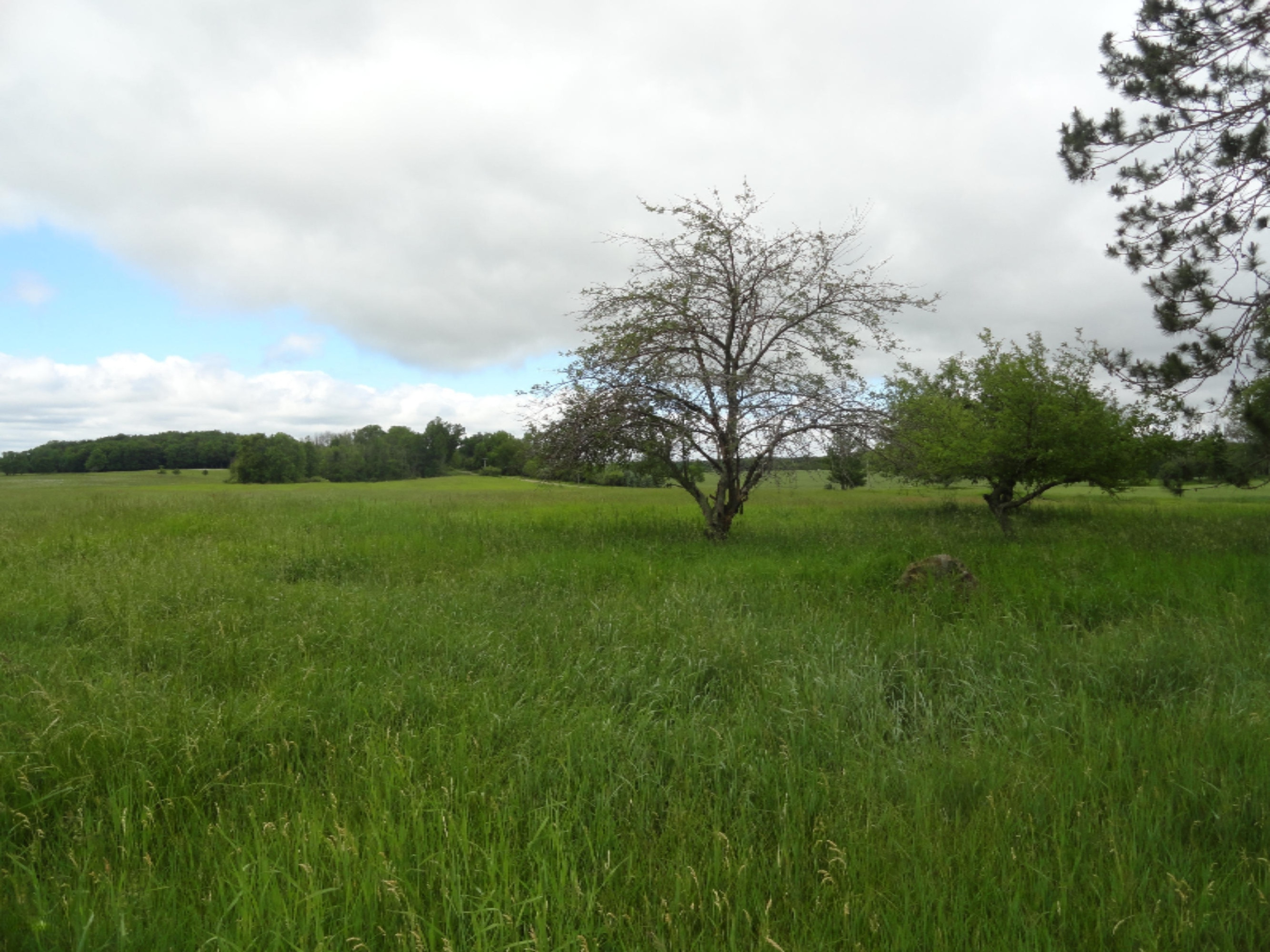 6841 South Hamilton Road Branch, MI 49402 - Photo 16 of 19 Moore 115 Ac (22)