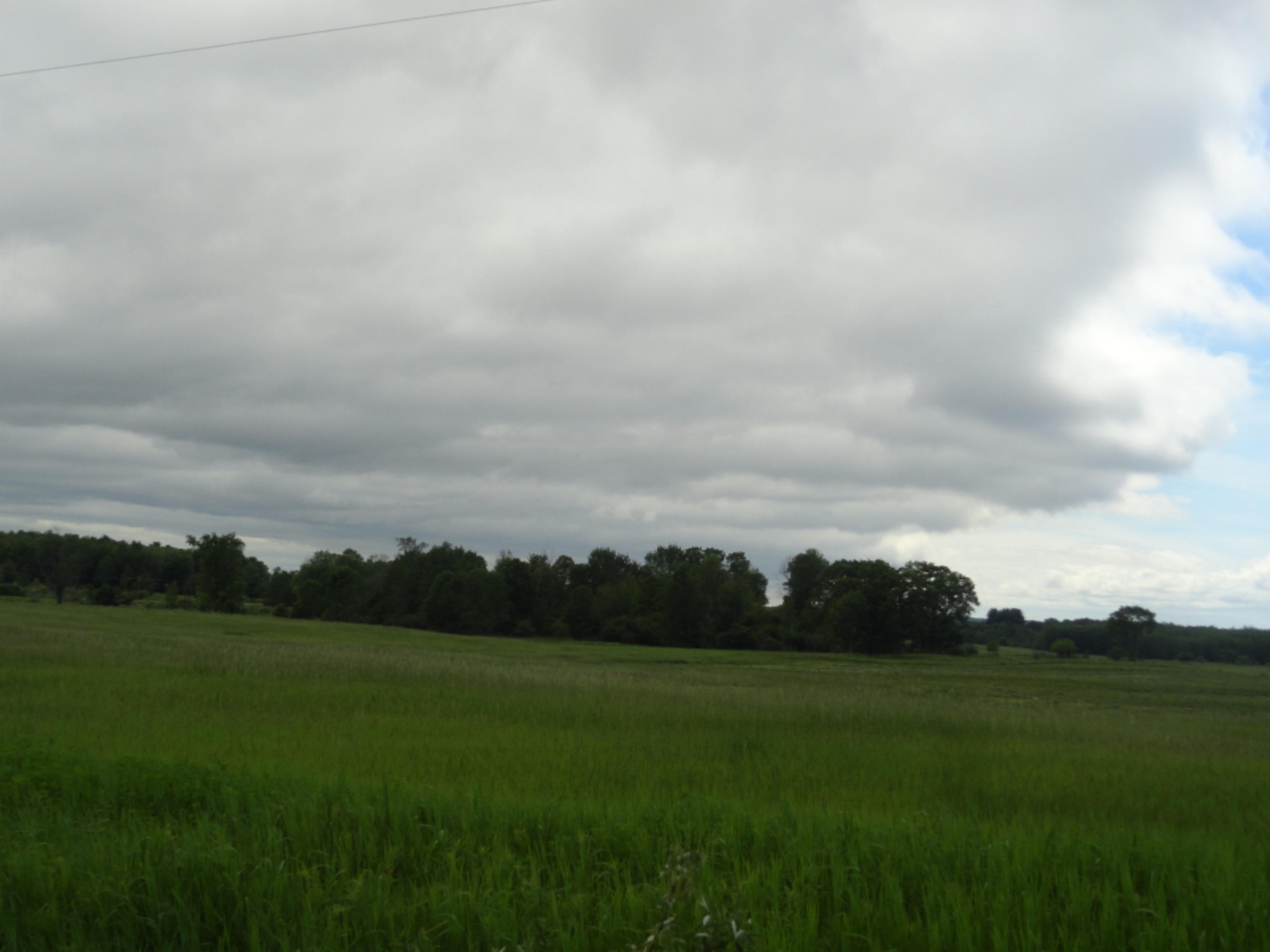 6841 South Hamilton Road Branch, MI 49402 - Photo 19 of 19 Moore 115 Ac (31)
