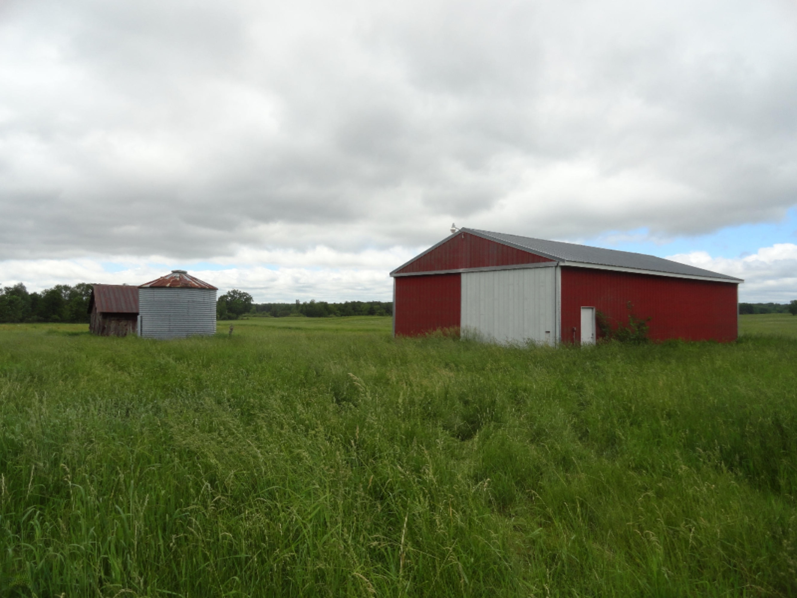 6841 South Hamilton Road Branch, MI 49402 - Photo 4 of 19 Moore 115 Ac (5)