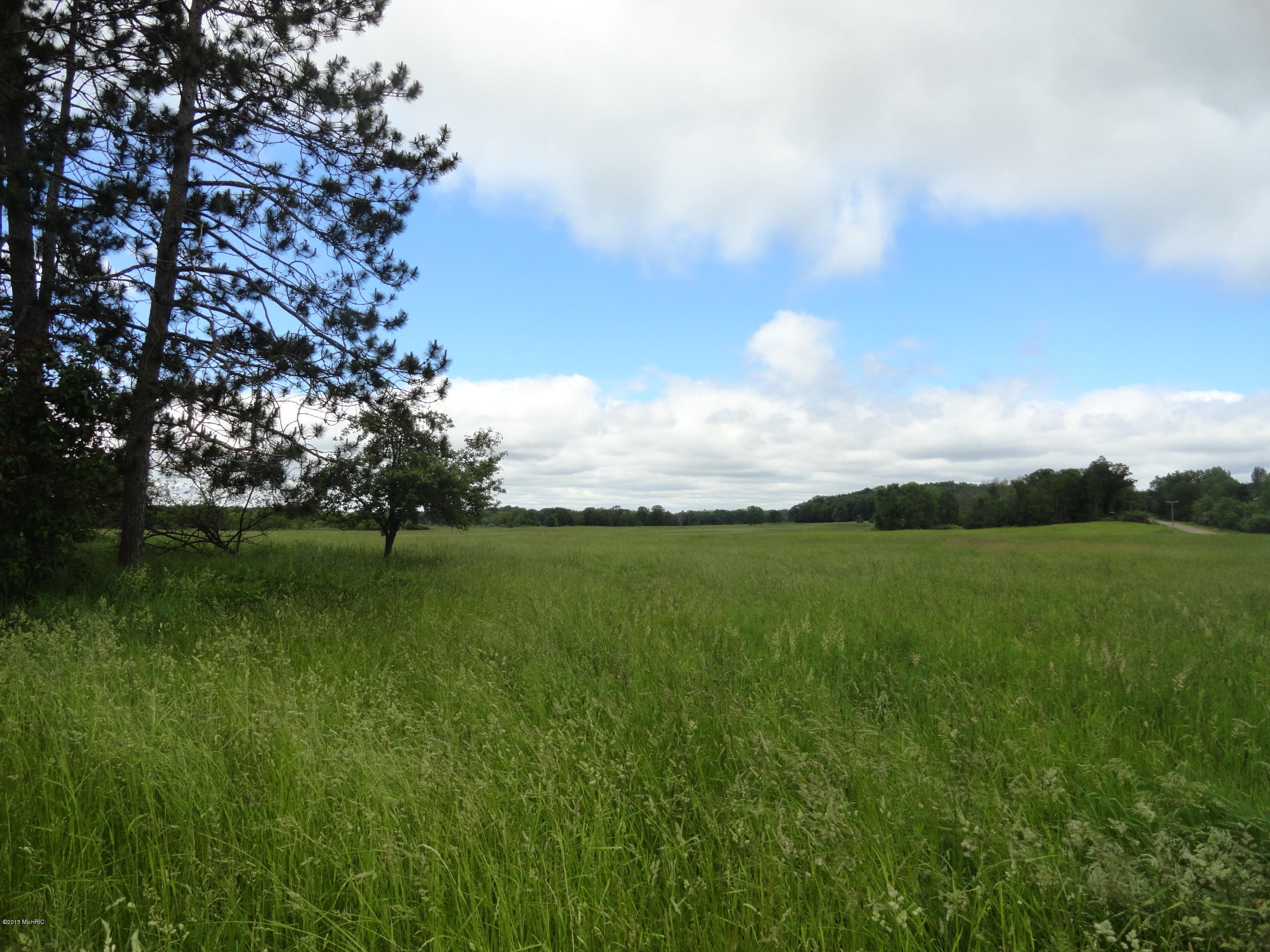 6841 South Hamilton Road Branch, MI 49402 - Photo 5 of 19 Moore 115 Ac (28)