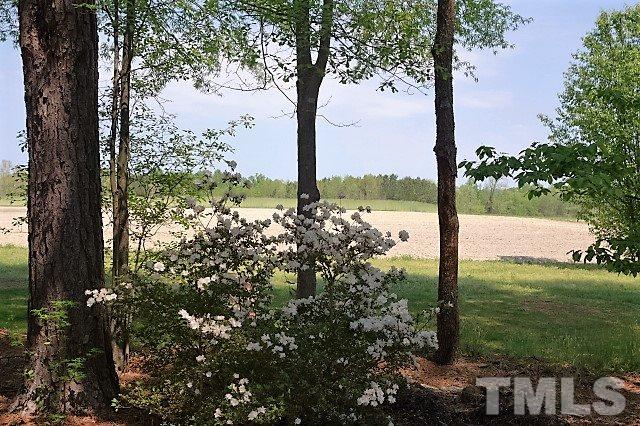 7293 Shawan Road Wendell, NC 27591 - Photo 6 of 21 Gallery Image 6