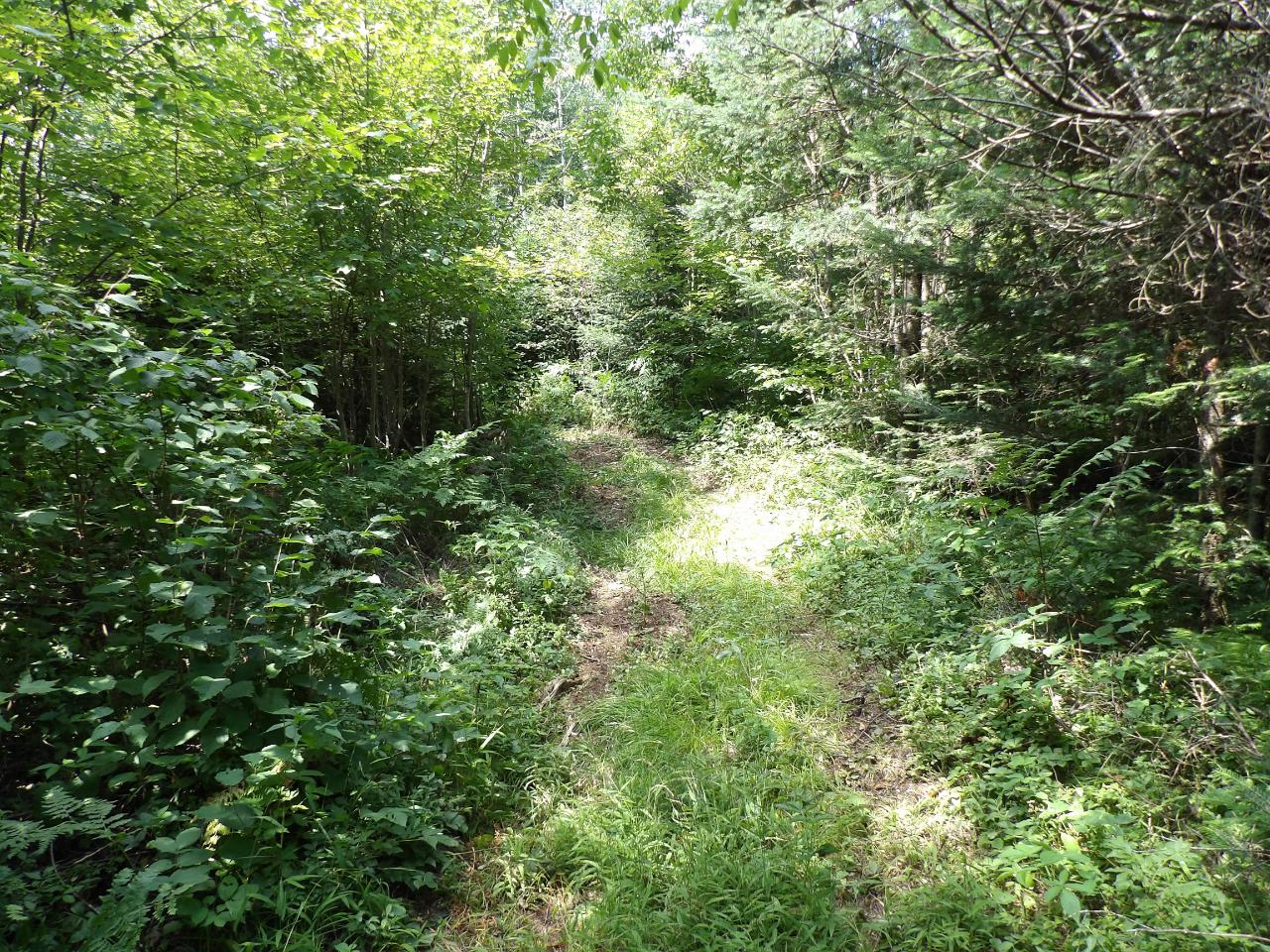 N6435 County Line Road Gleason, WI 54435 - Photo 12 of 20 Gallery Image 12