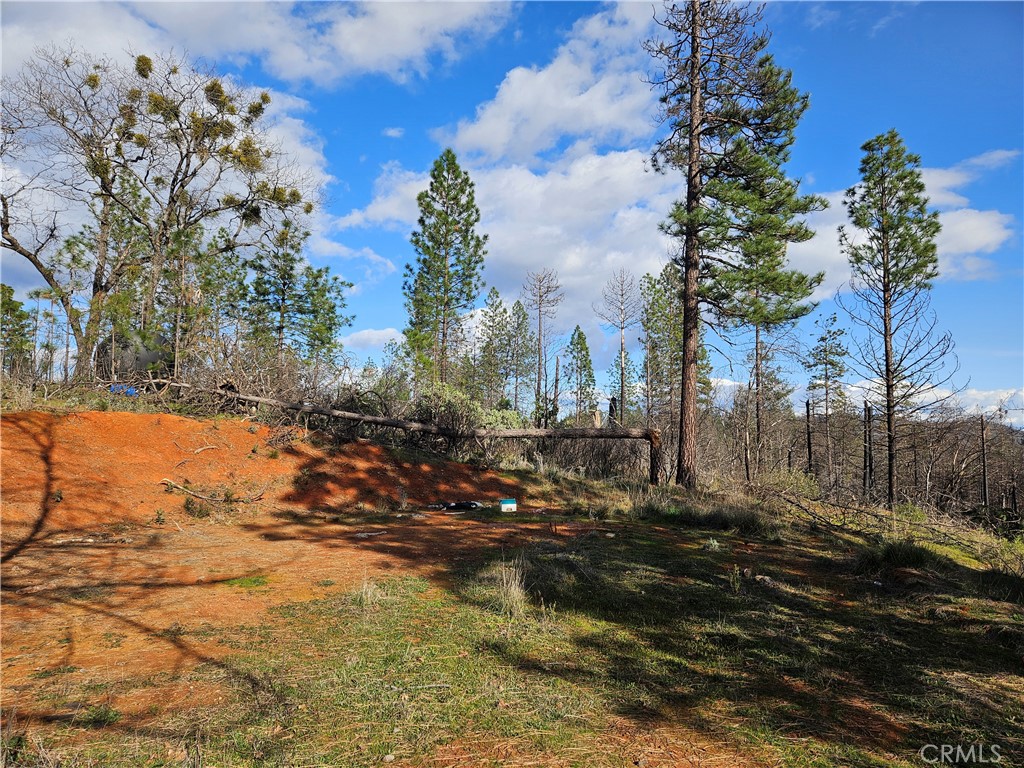 006 Feather Ridge Way Berry Creek, CA 95916 - Photo 1 of 1 Gallery Image 1