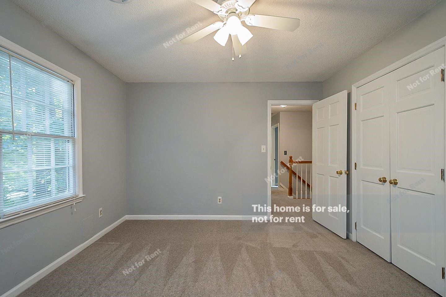 8204 Holly Berry Court Raleigh, NC 27615 - Photo 10 of 21 Photo 10