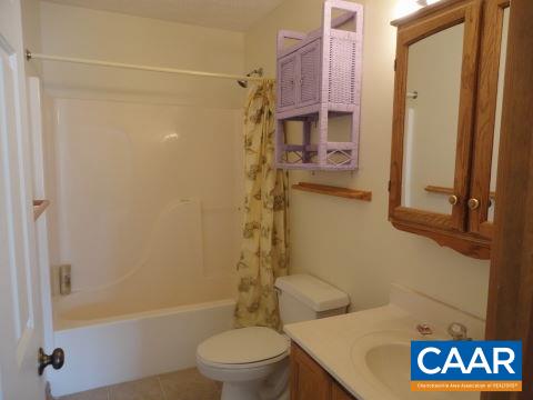 26 Brougham Road Palmyra, VA 22963 - Photo 9 of 20 a bathroom with a toilet and a shower