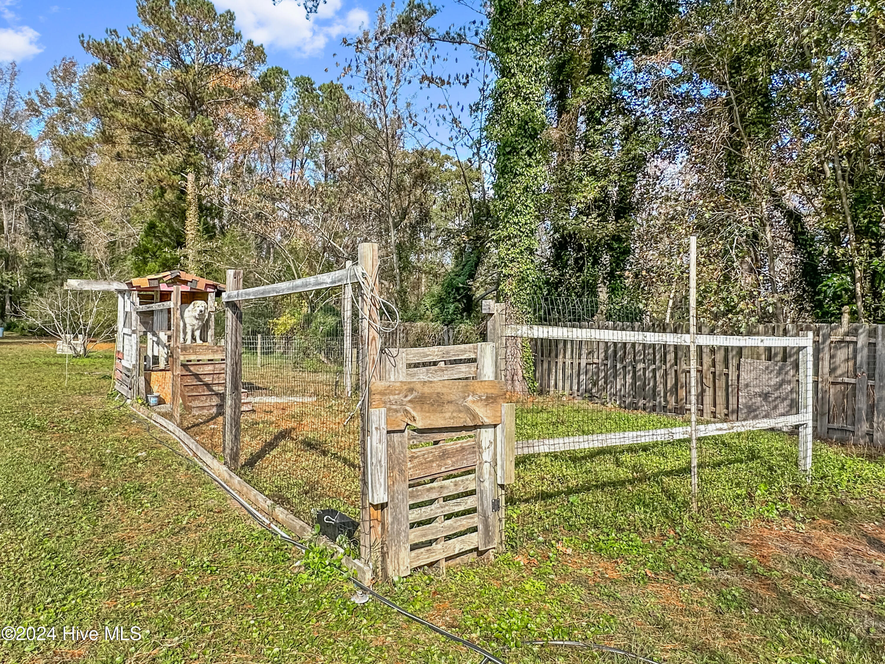 694 Haws Run Road Jacksonville, NC 28540 - Photo 35 of 49 Old Chicken Coop