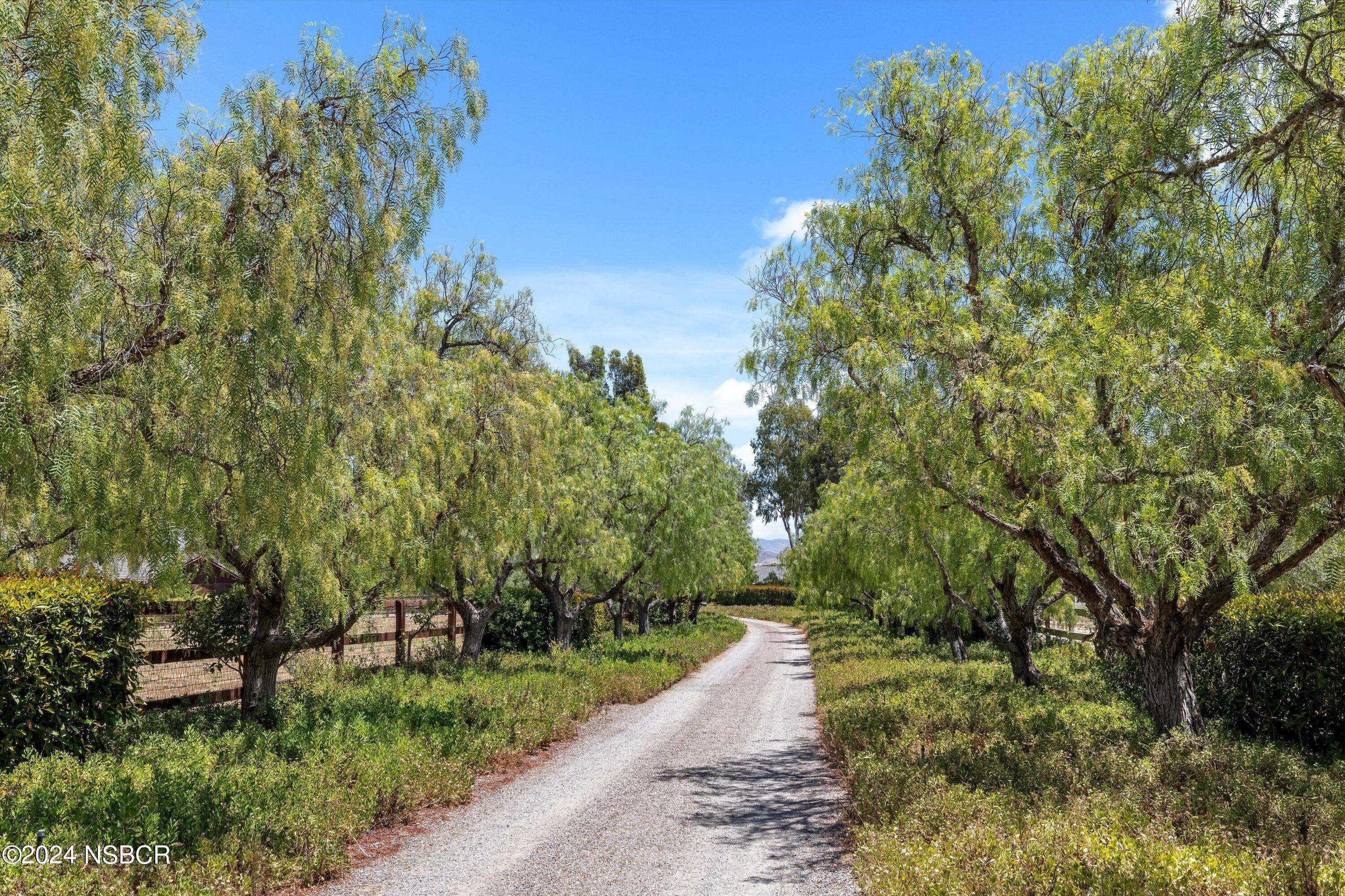 2075 Still Meadow Road Solvang, CA 93463 - Photo 3 of 74 02-7L5A6571