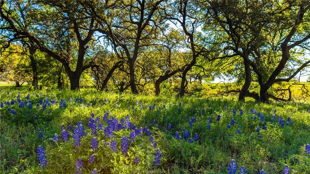 3288 Hunters Crossing Bryan, TX 77808 - Photo 5 of 6