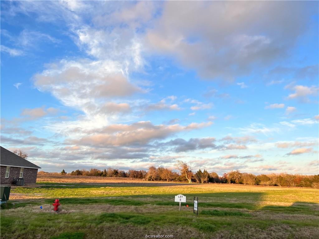 3288 Hunters Crossing Bryan, TX 77808 - Photo 7 of 7 a view of a big yard with an outdoor seating