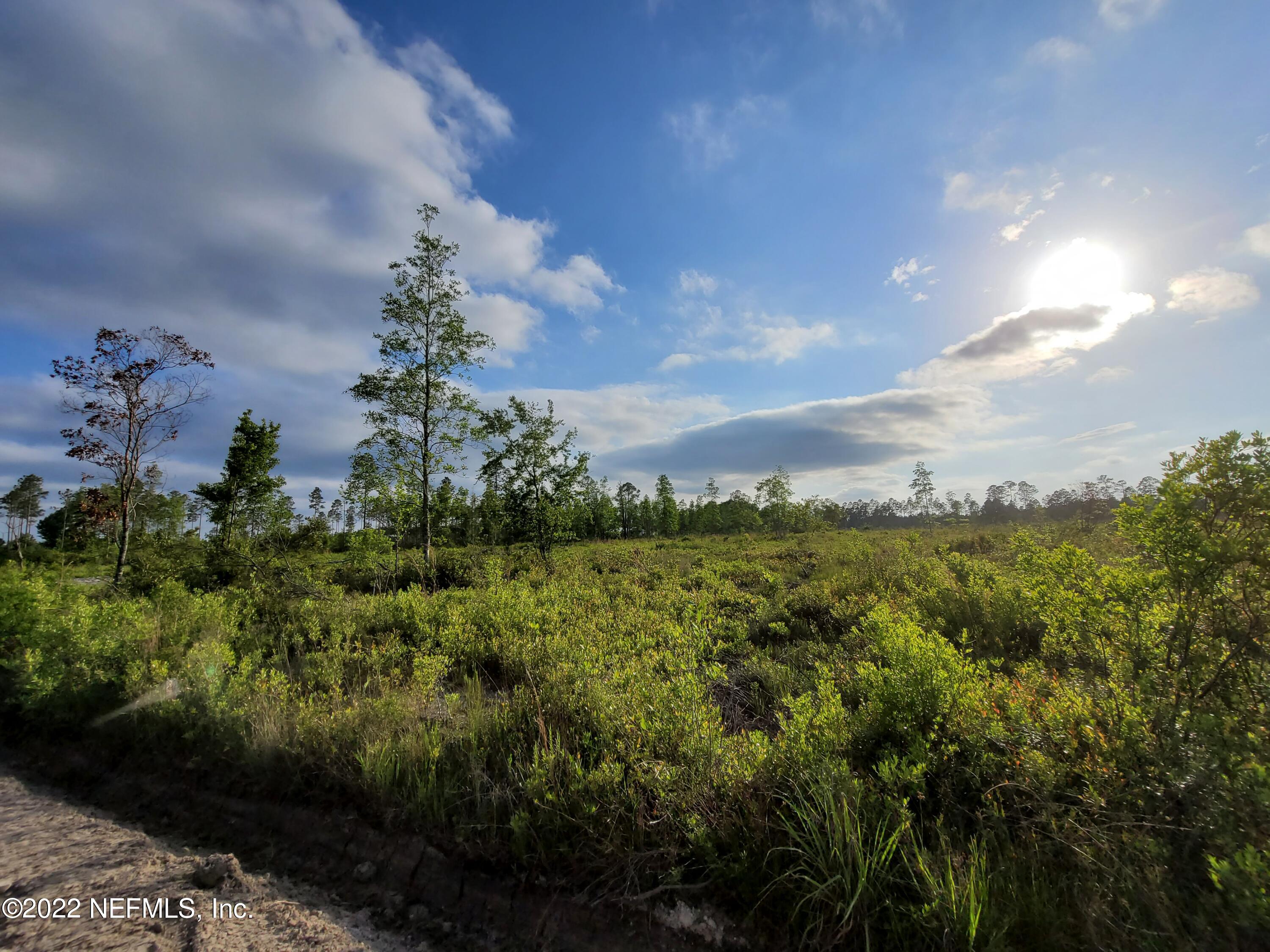 0 Goodwin Road Hilliard, FL 32046 - Photo 5 of 7 5
