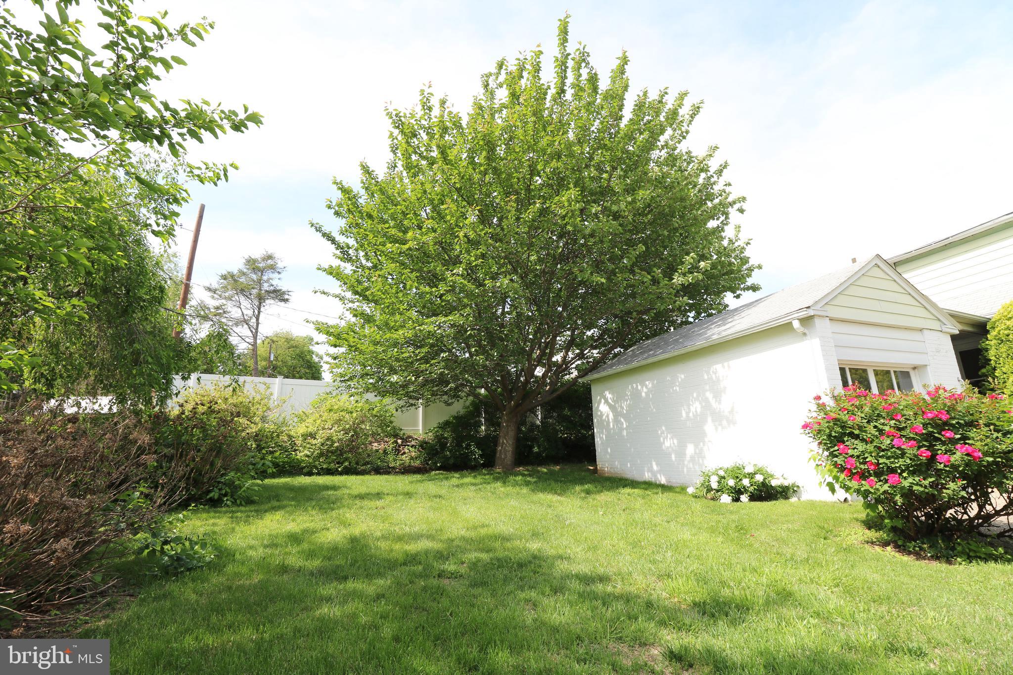530 Hempstead Road Springfield, PA 19064 - Photo 33 of 36 a backyard of a house with lots of green space