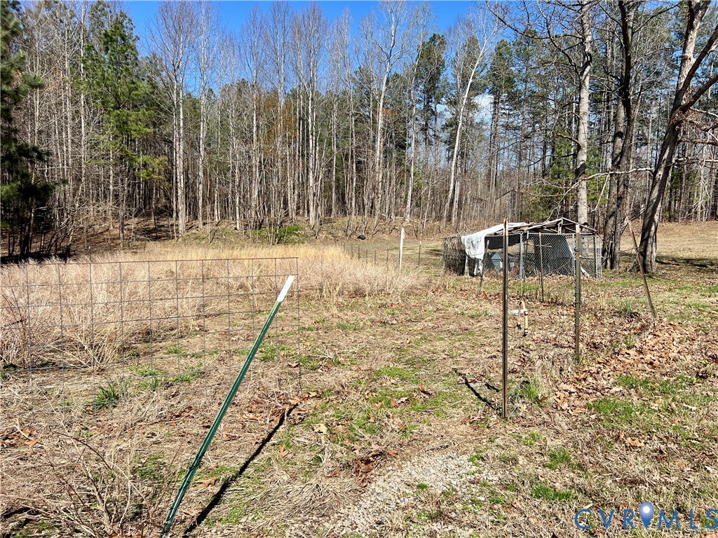 2049 Riddle Road Blackstone, VA 23824 - Photo 43 of 44 View of yard