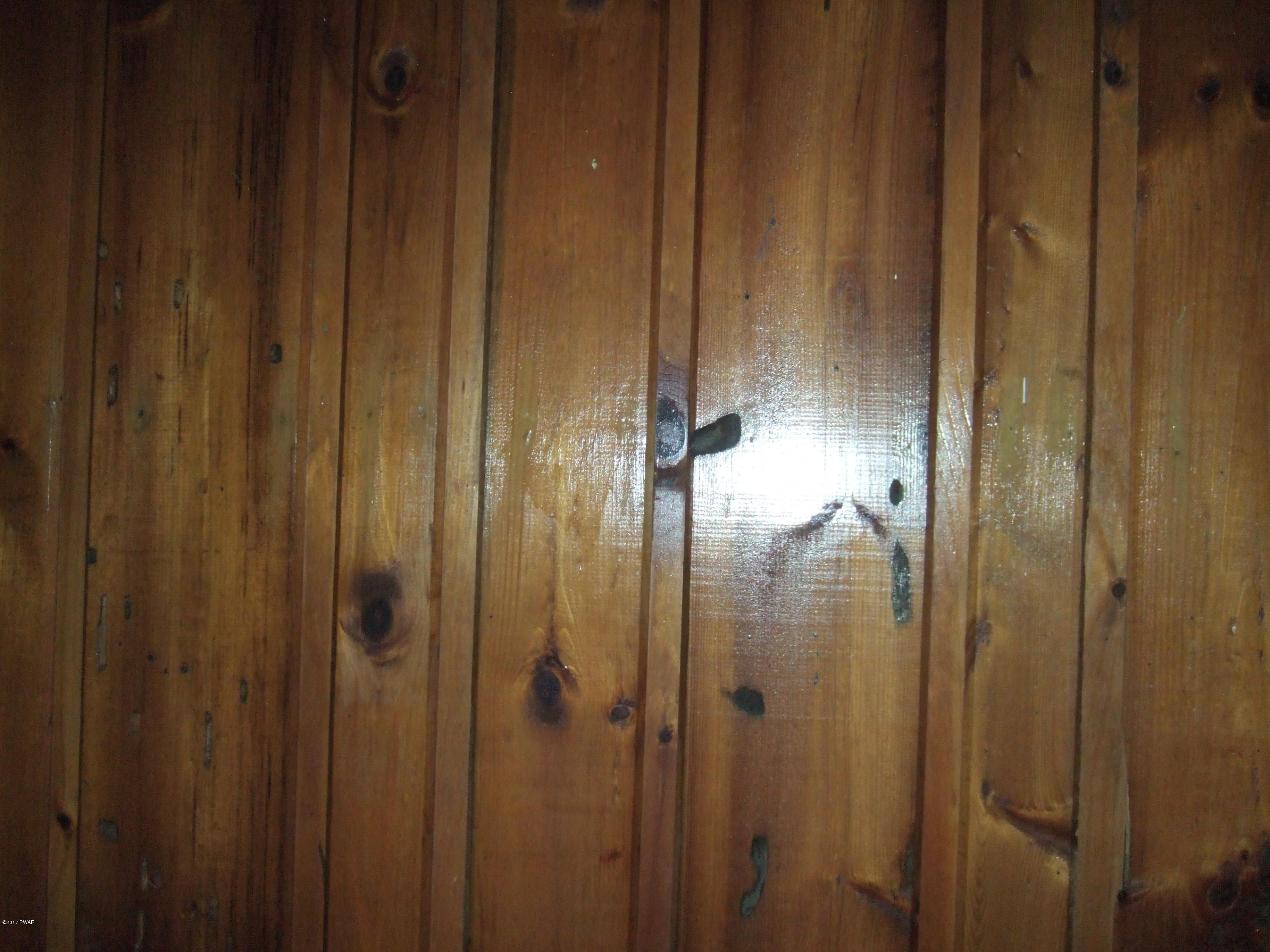 20 Old Peggy Runway Road Beach Lake, PA 18405 - Photo 23 of 26 Paneled Walls