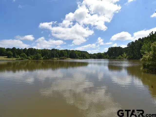 $219,900 | Lot 31 Acr 453, Montalba, TX 75853