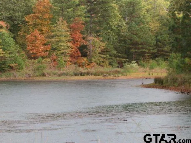 $219,900 | Lot 31 Acr 453, Montalba, TX 75853