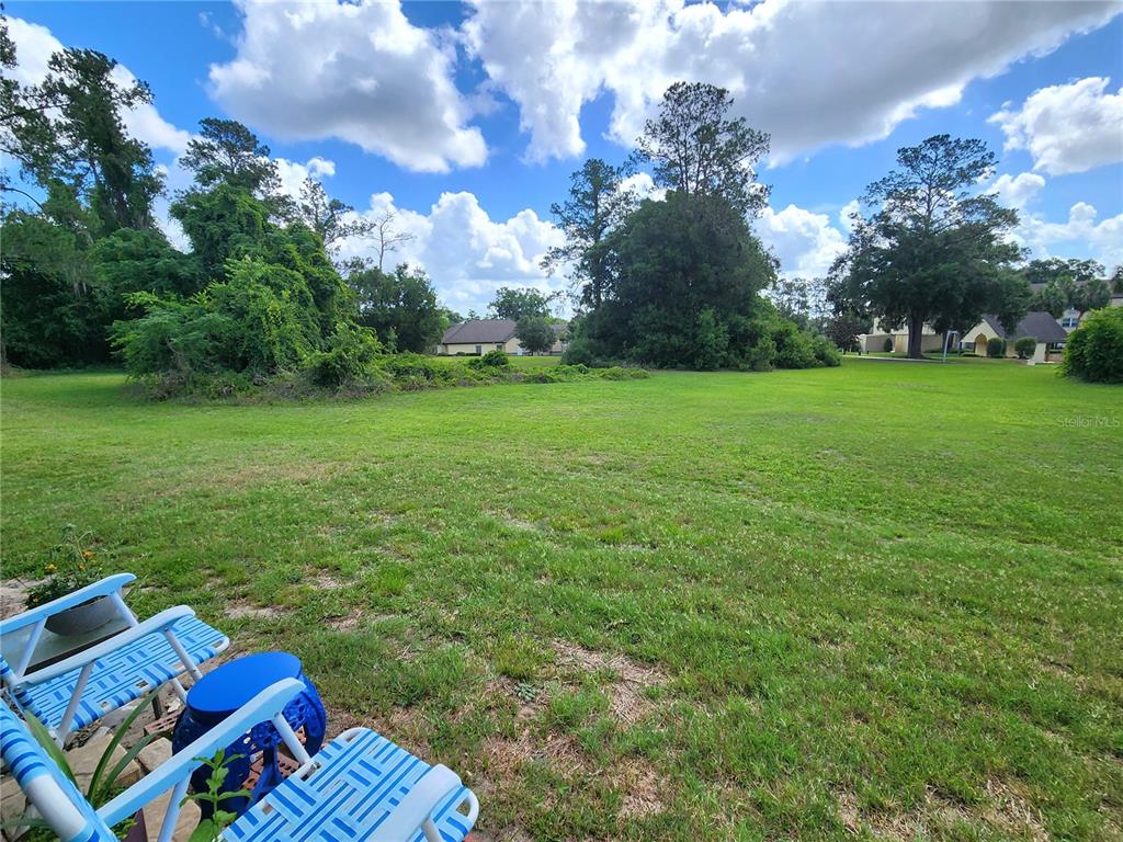 1701 Southeast 24th Road, Unit 1601 Ocala, FL 34471 - Photo 28 of 30 a view of a house with a backyard