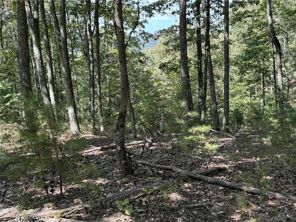 1005 Mayfield Lane Northeast Ranger, GA 30734 - Photo 11 of 15 a view of outdoor space and green space