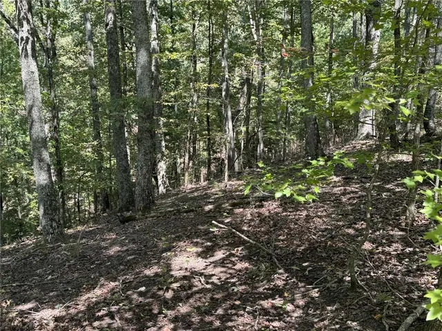 $29,900 | 1005 Mayfield Lane Northeast, Ranger, GA 30734