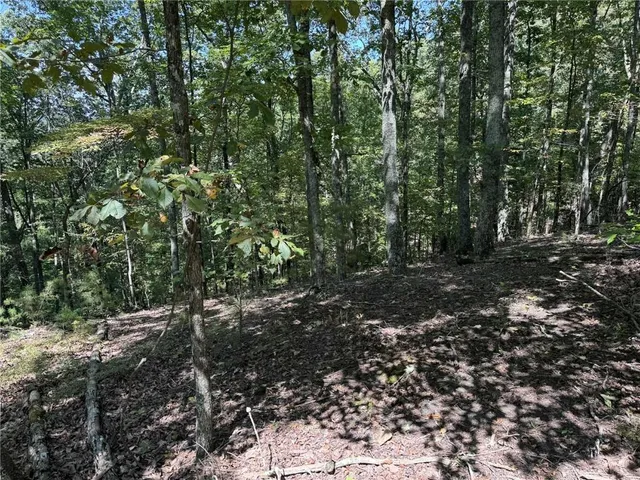 $29,900 | 1005 Mayfield Lane Northeast, Ranger, GA 30734