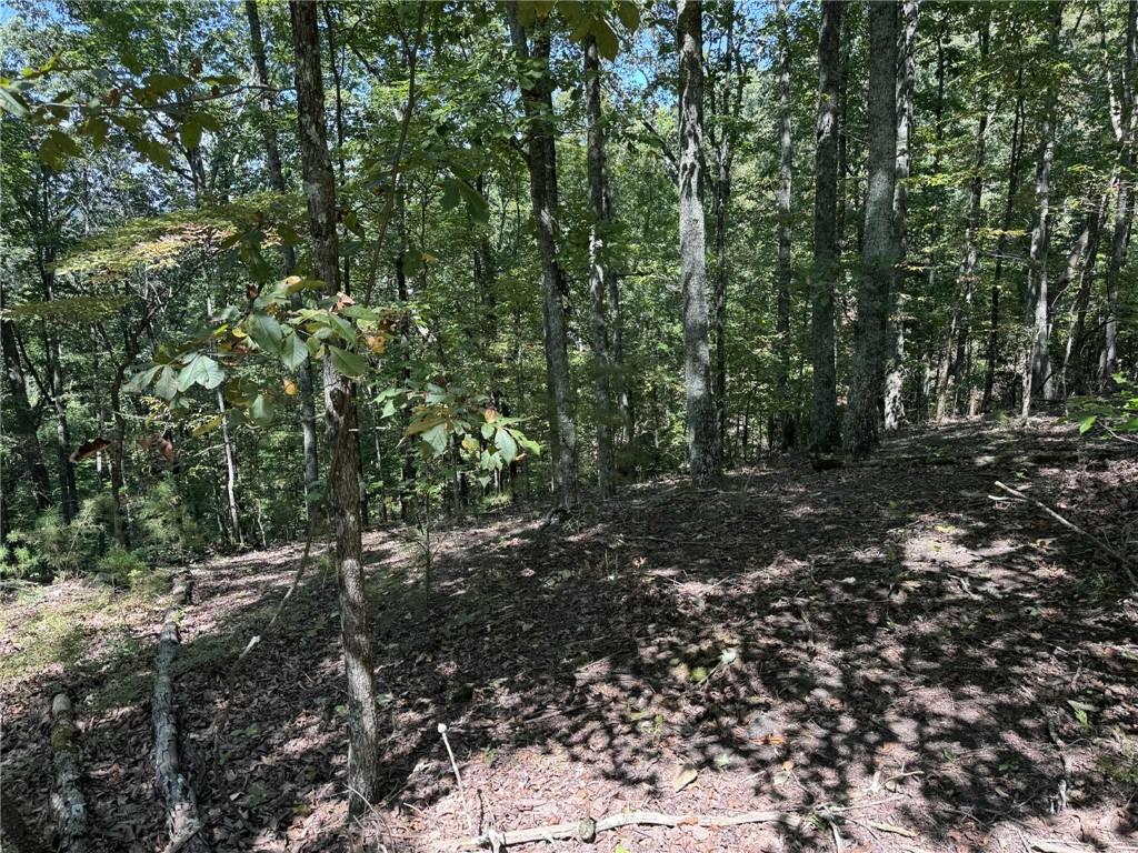 1005 Mayfield Lane Northeast Ranger, GA 30734 - Photo 14 of 15