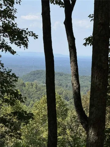 a view of a garden with plants