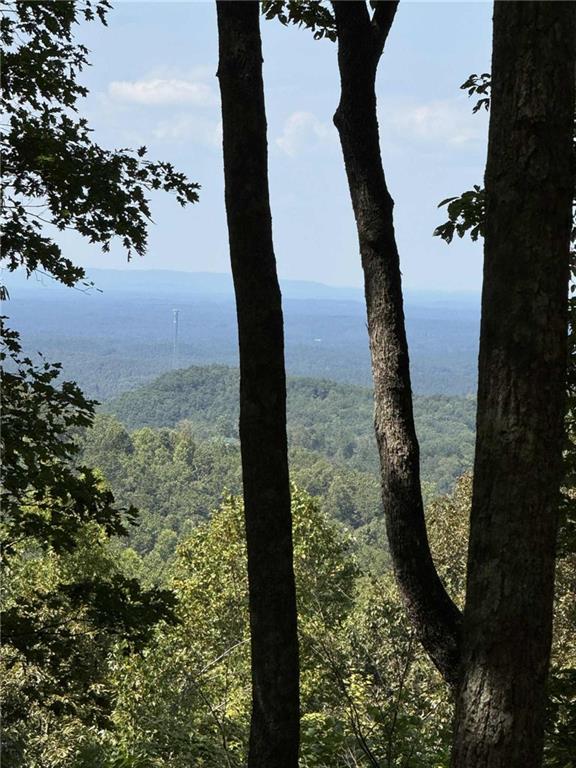 1005 Mayfield Lane Northeast Ranger, GA 30734 - Photo 2 of 15