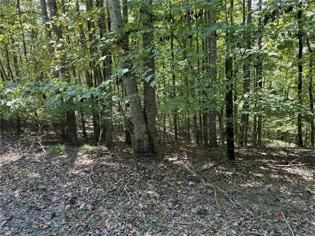 a backyard of a house