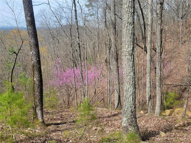 a backyard of a building