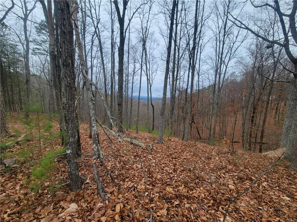 1005 Mayfield Lane Northeast Ranger, GA 30734 - Photo 7 of 15