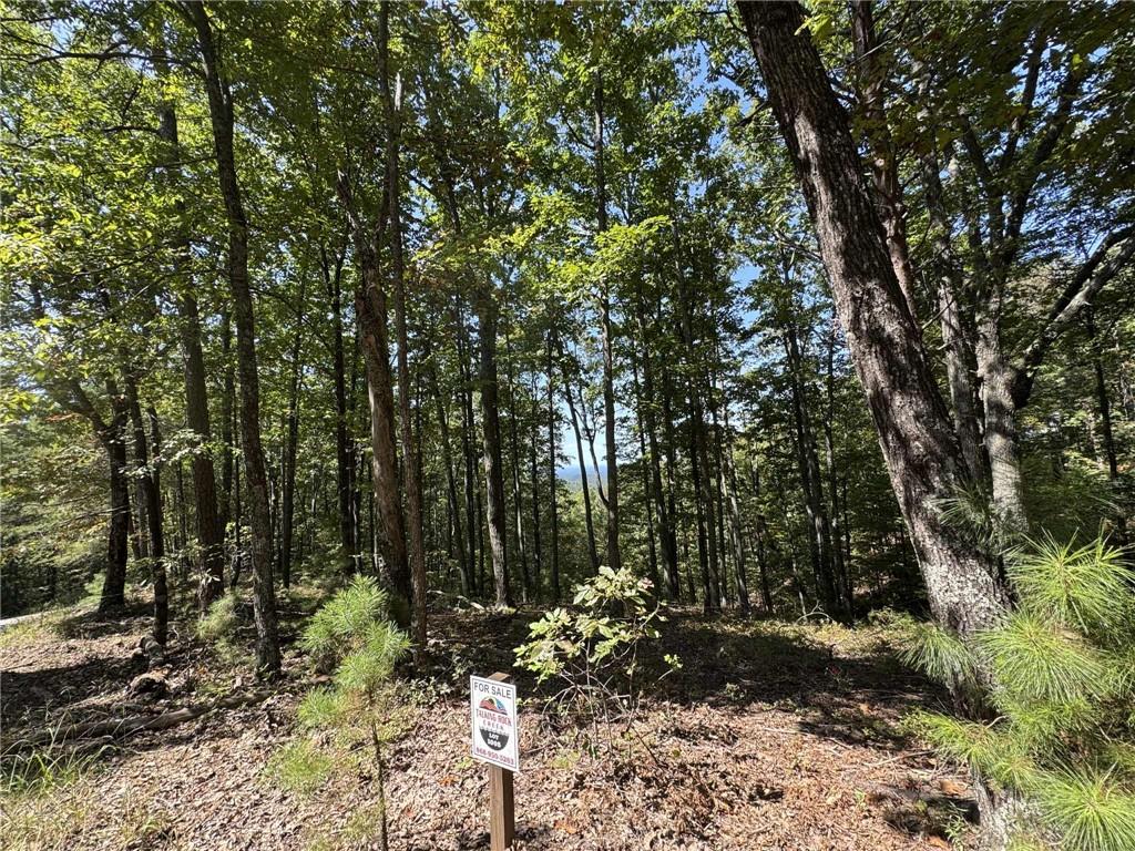 1005 Mayfield Lane Northeast Ranger, GA 30734 - Photo 8 of 15 a view of a forest filled with trees