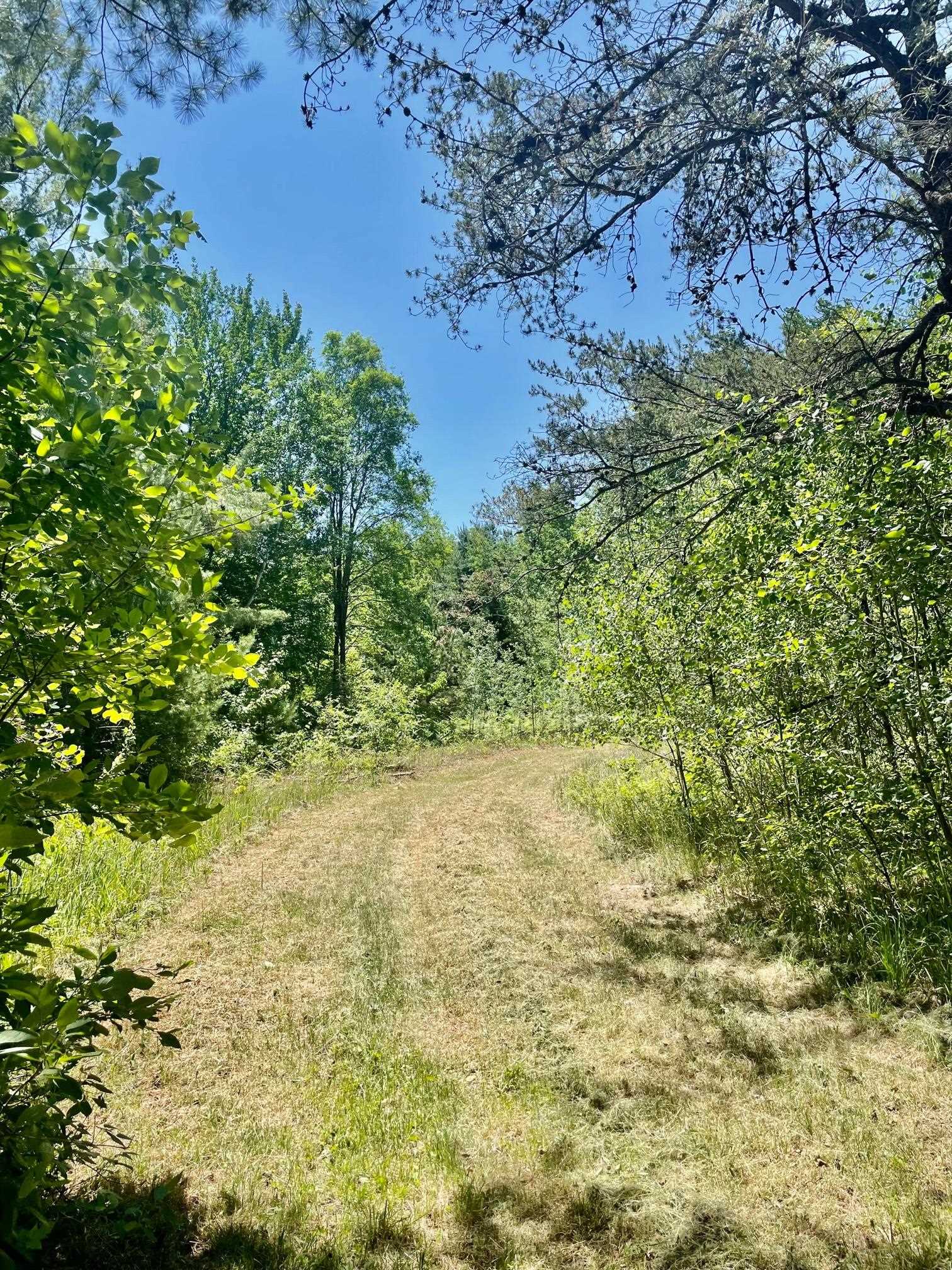 6797 North Us 131 Road Manton, MI 49663 - Photo 5 of 16