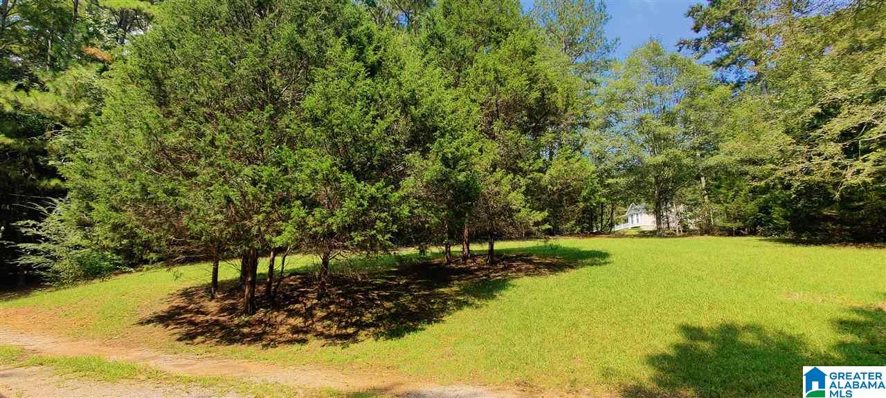 59 Cheyenne Street Springville, AL 35146 - Photo 3 of 12