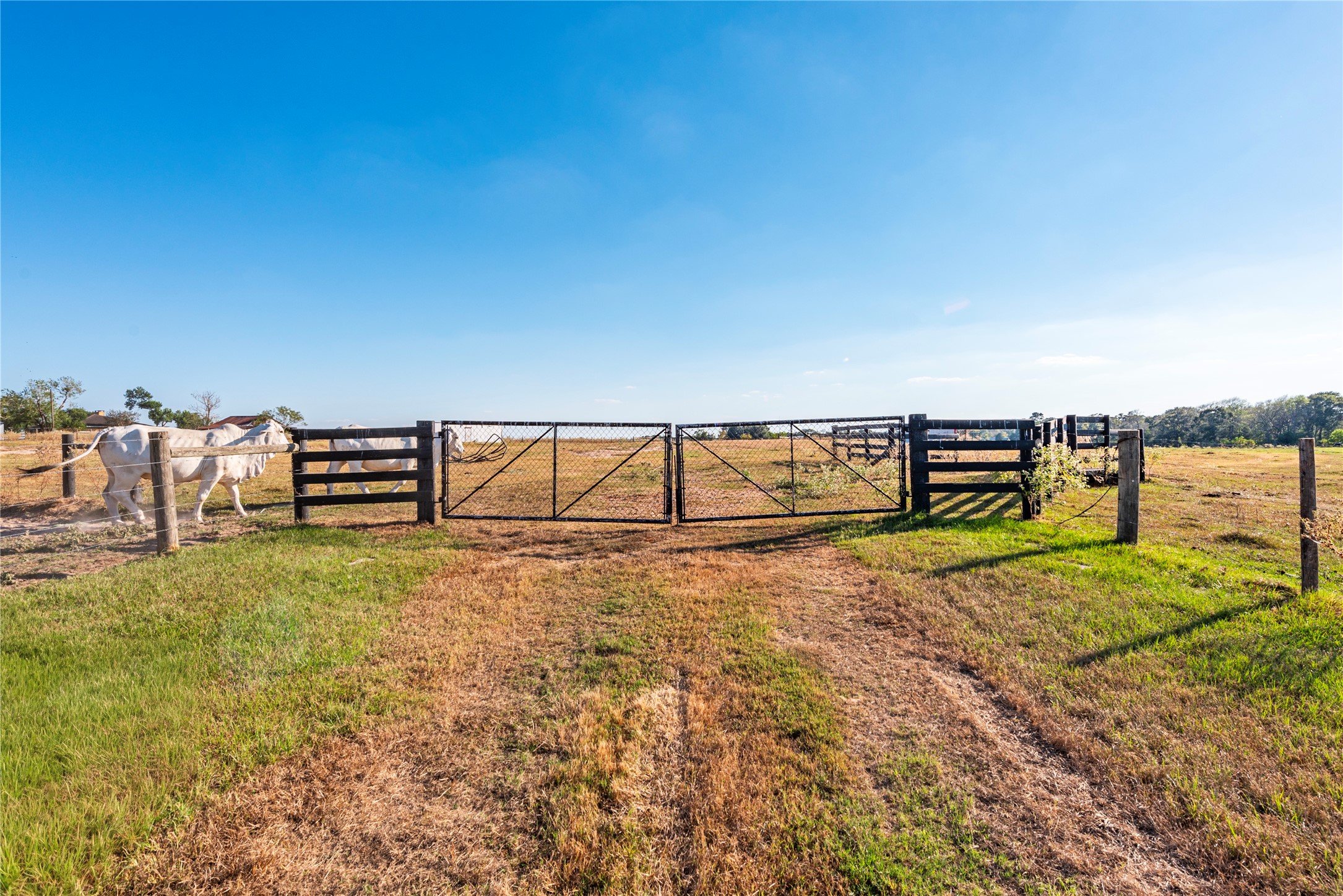 3677 Reinhardt Road Bellville, TX 77418 - Photo 13 of 41
