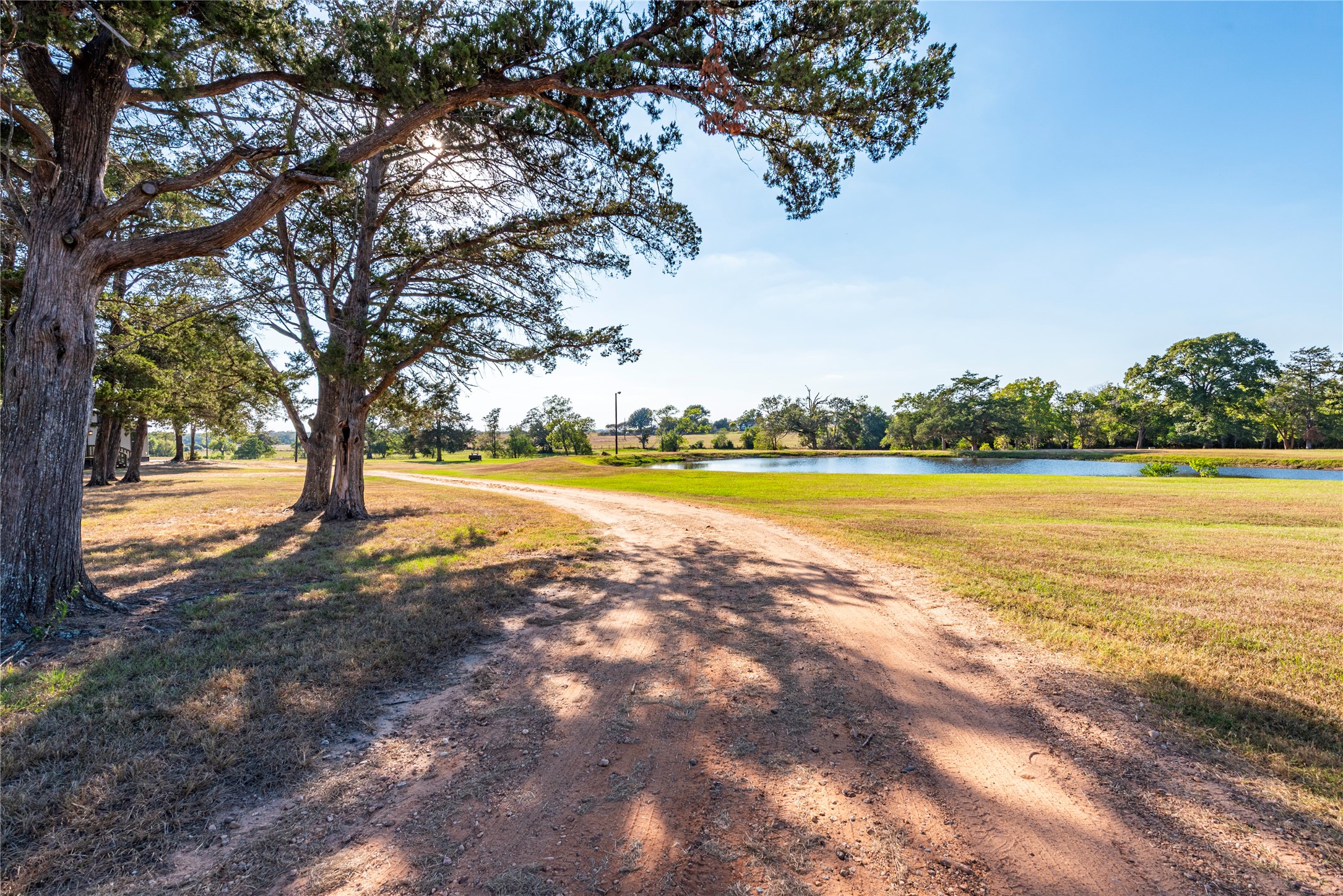 3677 Reinhardt Road Bellville, TX 77418 - Photo 15 of 41