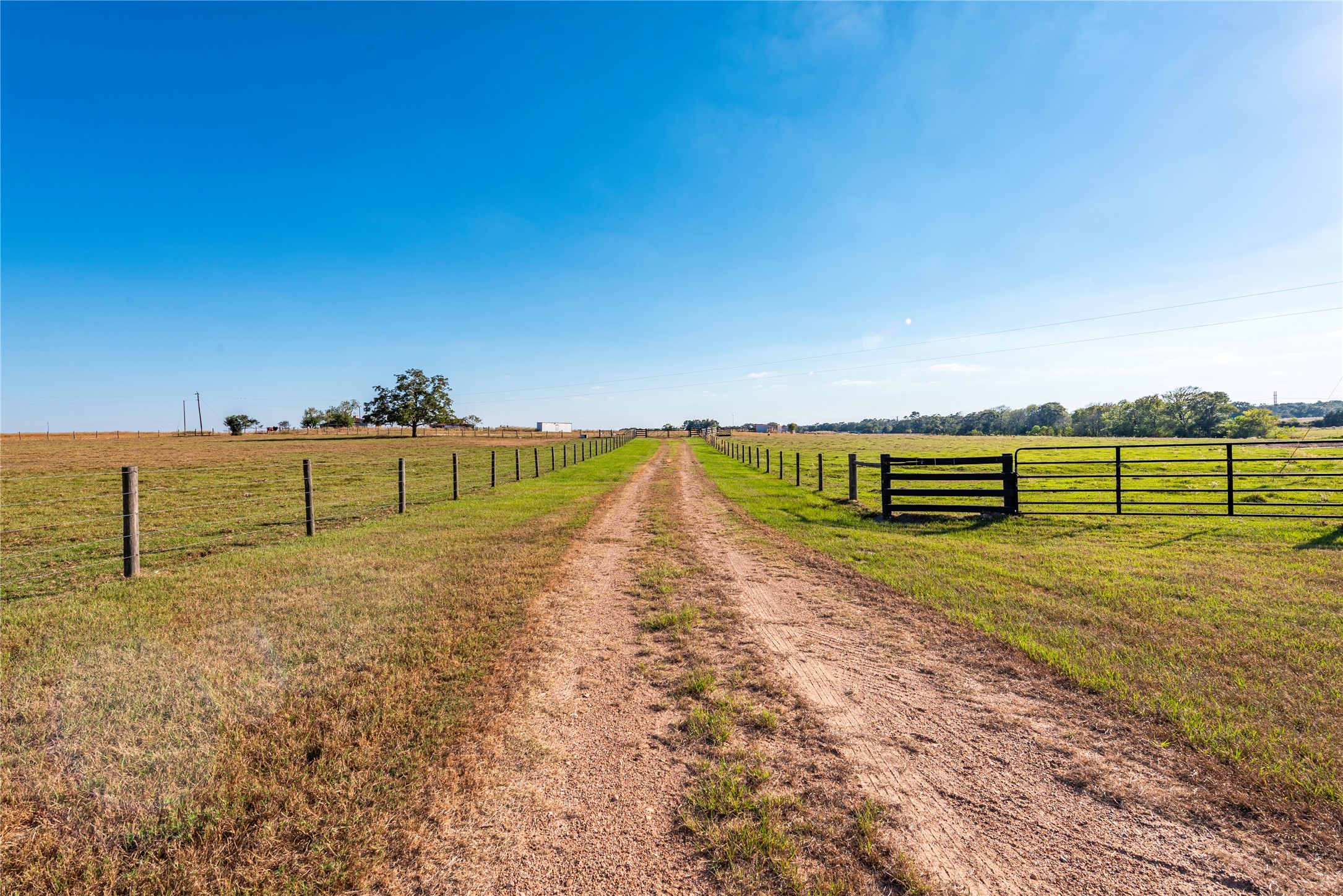 3677 Reinhardt Road Bellville, TX 77418 - Photo 22 of 41