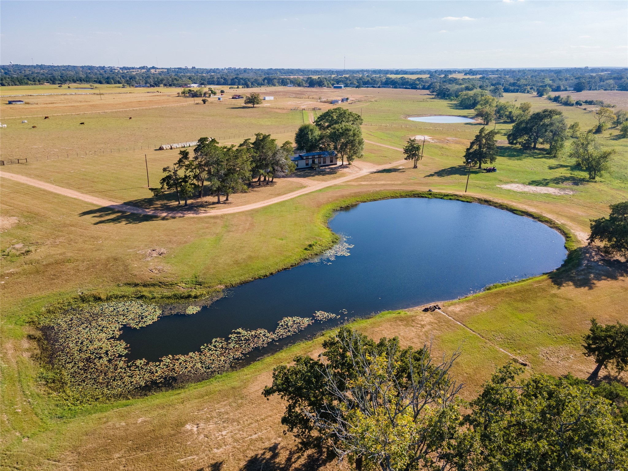 3677 Reinhardt Road Bellville, TX 77418 - Photo 35 of 41