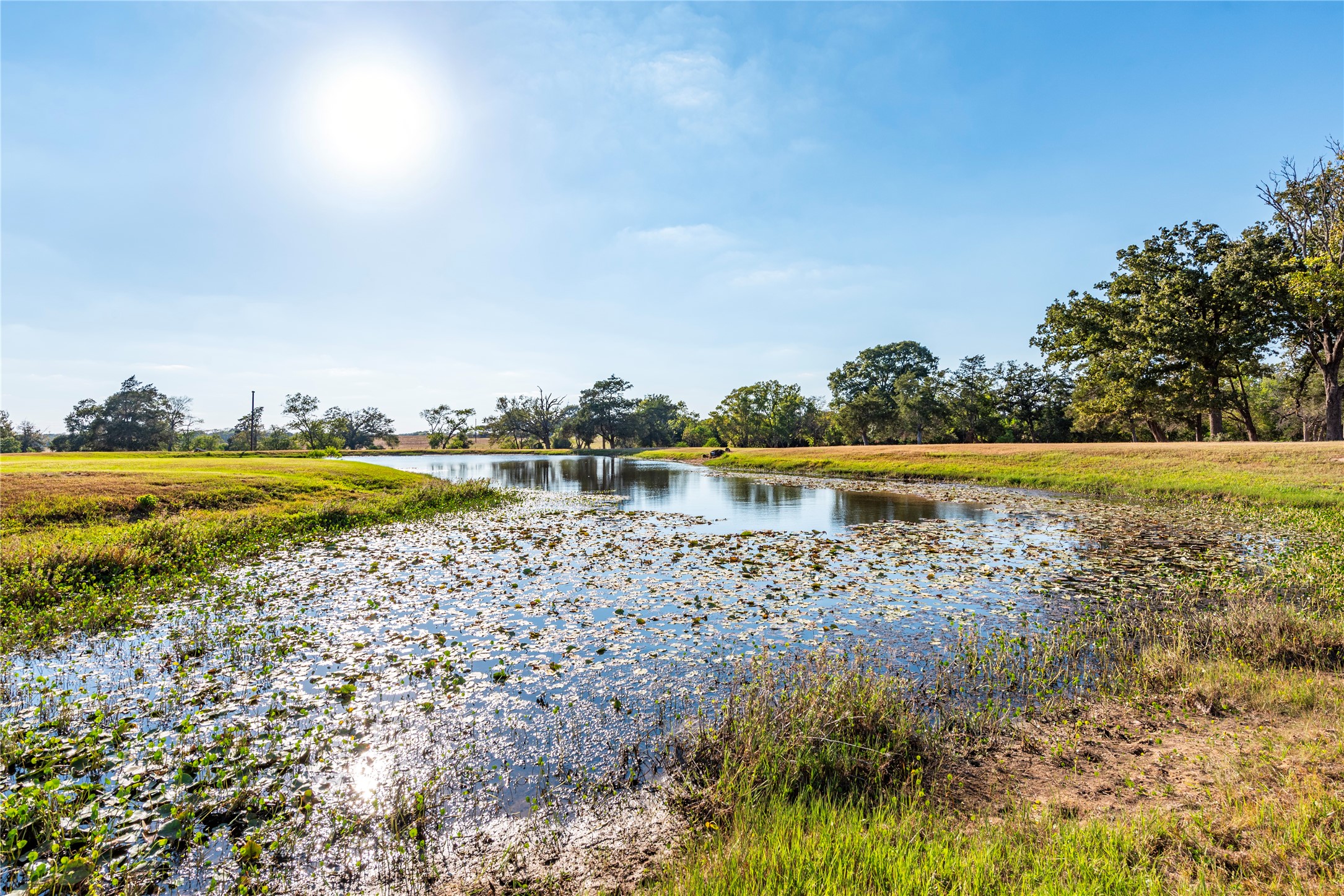 3677 Reinhardt Road Bellville, TX 77418 - Photo 4 of 41