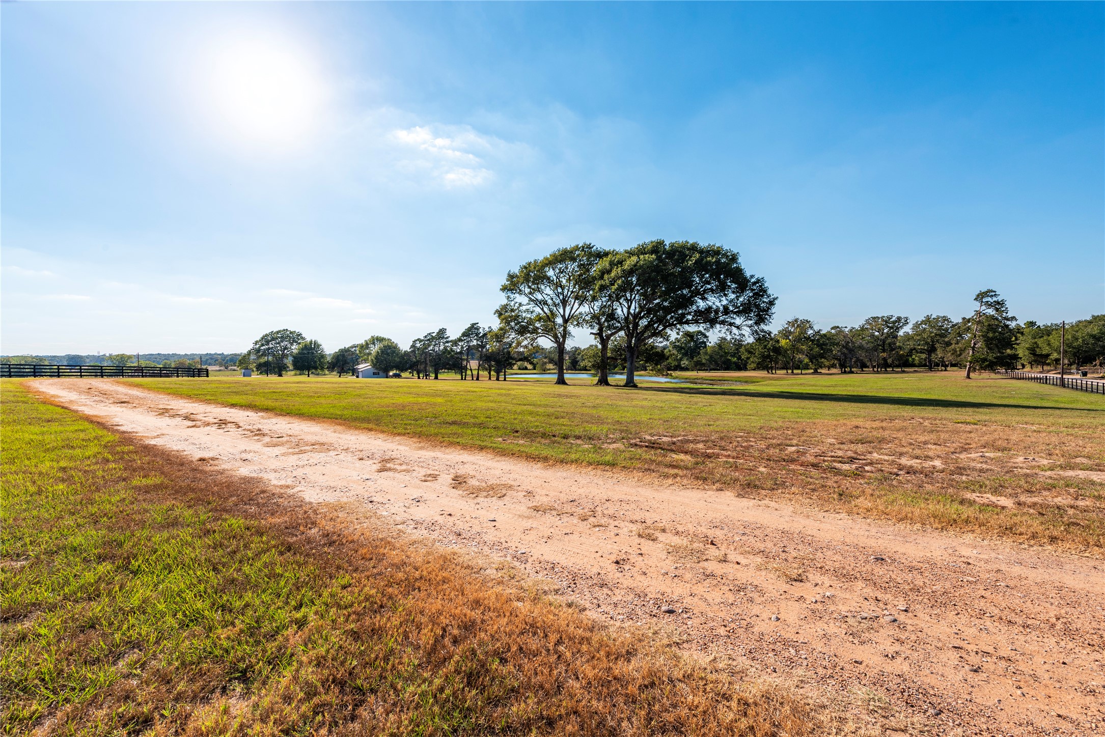 3677 Reinhardt Road Bellville, TX 77418 - Photo 6 of 41
