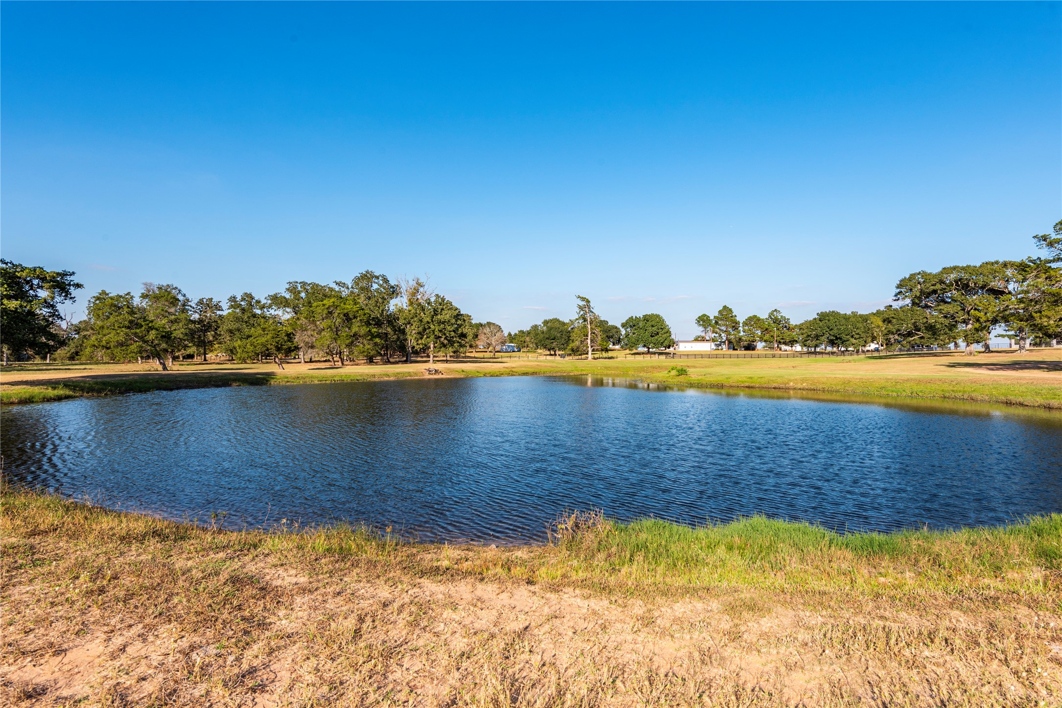 3677 Reinhardt Road Bellville, TX 77418 - Photo 7 of 41