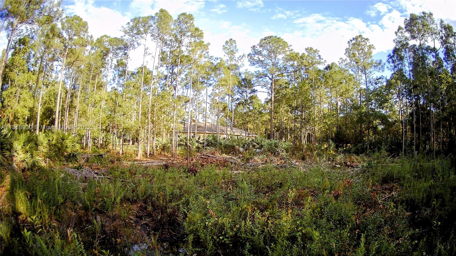 152 152nd Road North Jupiter, FL 33478 - Photo 2 of 8 Gallery Image 2