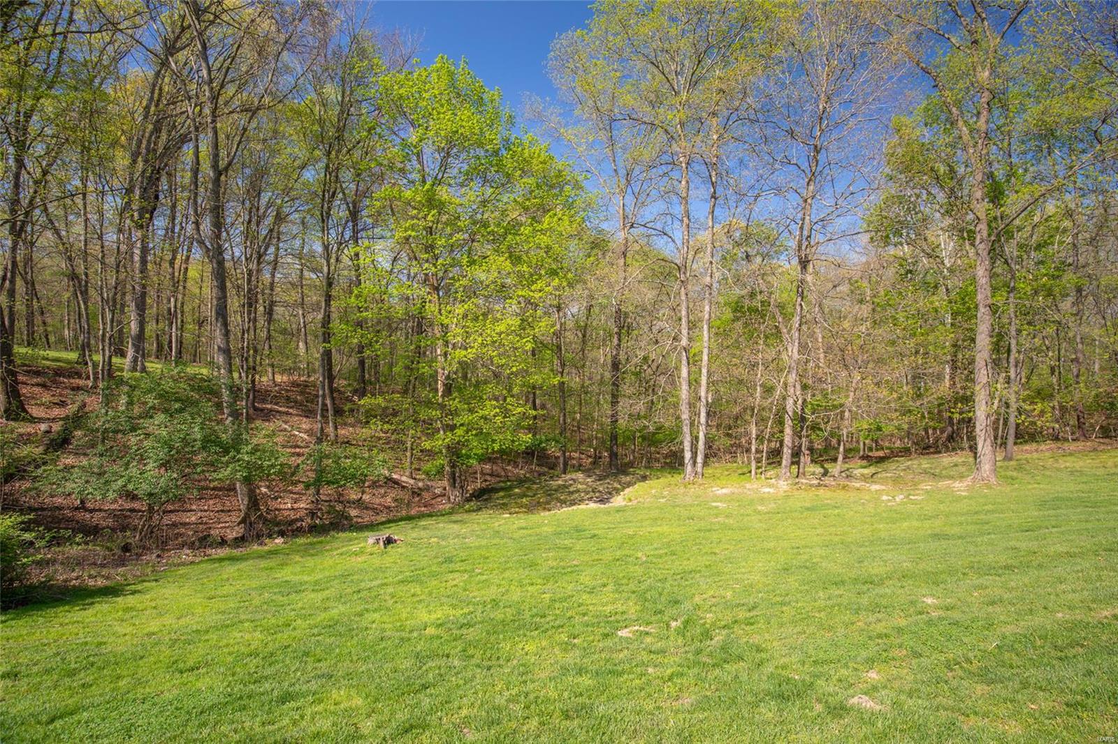 16667 Anna's Way Wildwood, MO 63005 - Photo 70 of 79