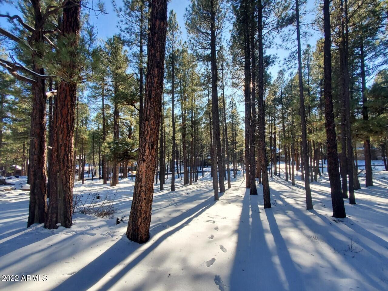 3781 Griffiths Spring, Unit 451 Flagstaff, AZ 86005 - Photo 2 of 4 Lot 451_2