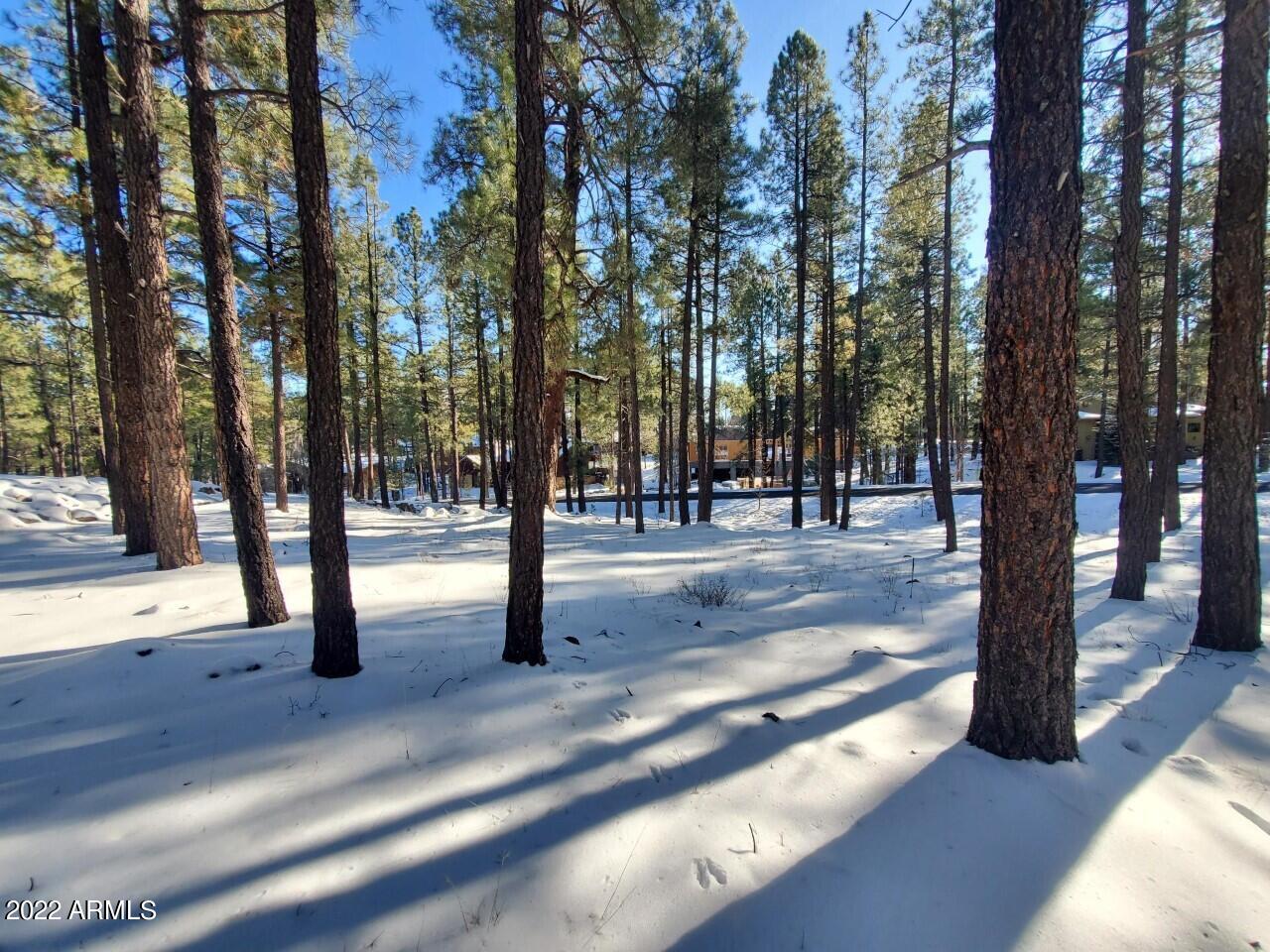 3781 Griffiths Spring, Unit 451 Flagstaff, AZ 86005 - Photo 3 of 4 Lot 451_3