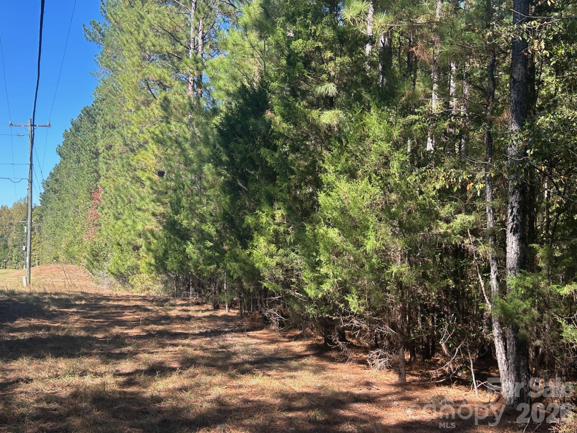 5-ac Lot 3 5-ac Road Richburg, SC 29729 - Photo 14 of 42 a view of a yard with plants and trees